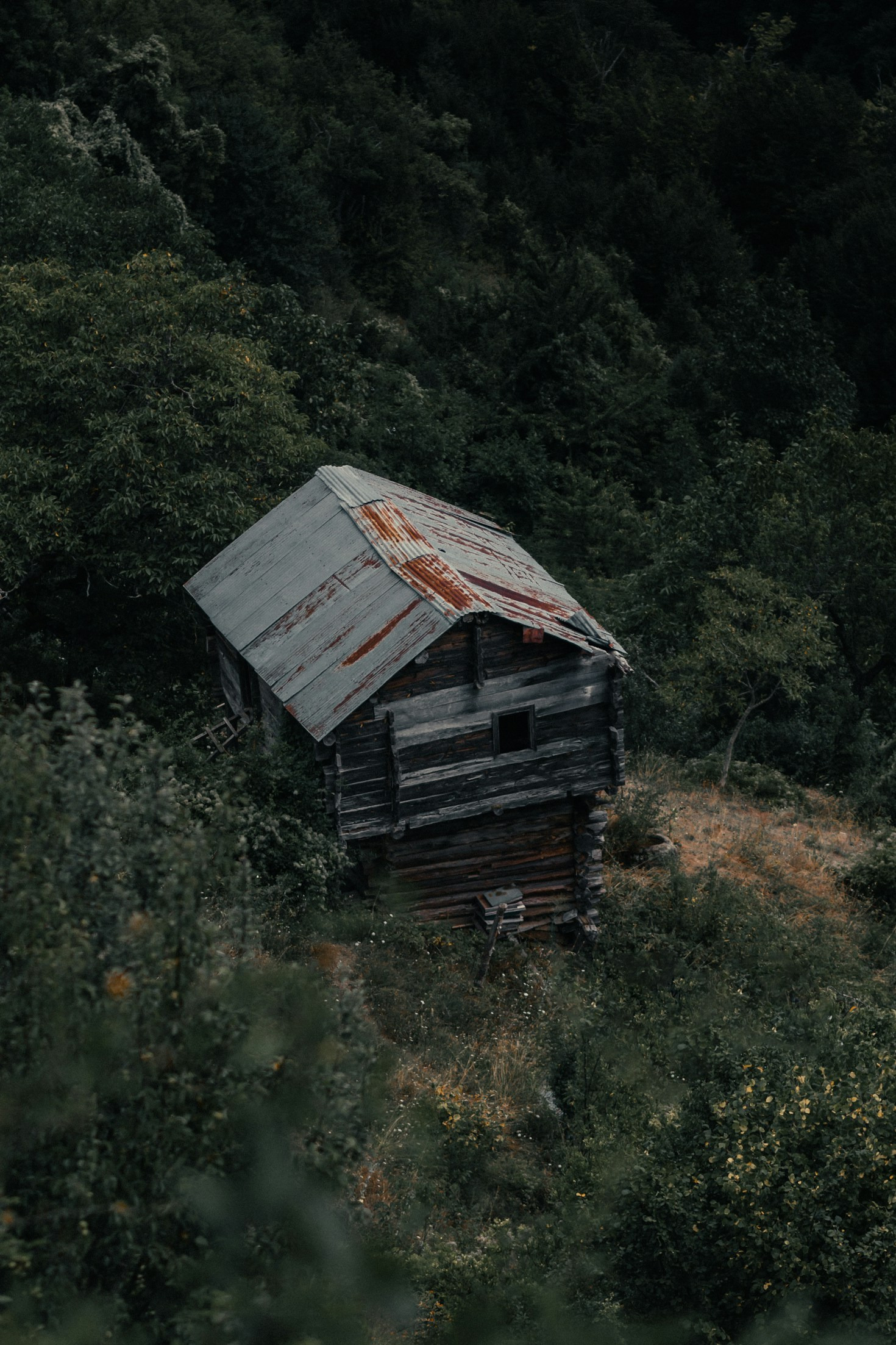 Inspiración para tu próximo proyecto de cabaña